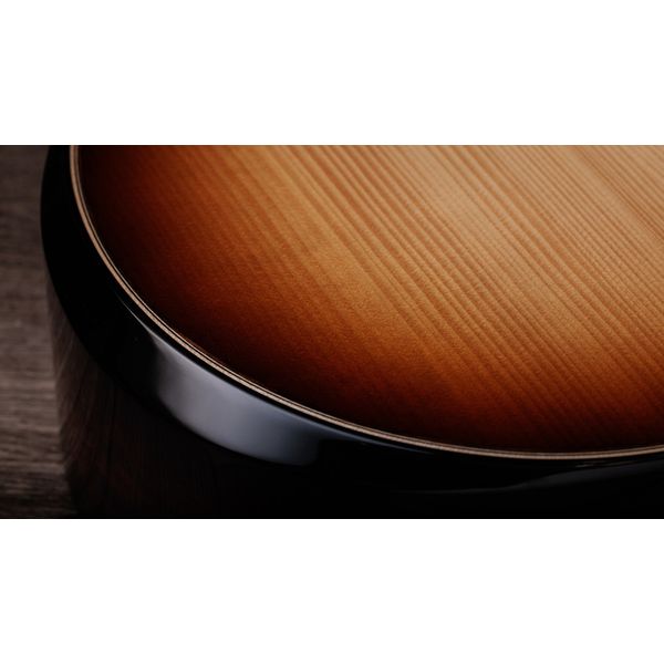 Taylor Builder´s Ed. 814ce Adirondack