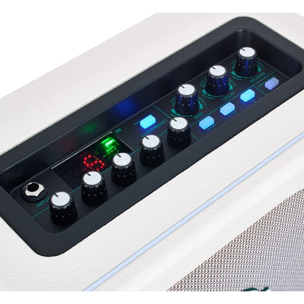 Mooer Hornet 15W LI Modeling Amp WH