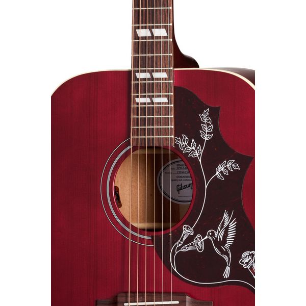 Gibson Hummingbird Special SWR