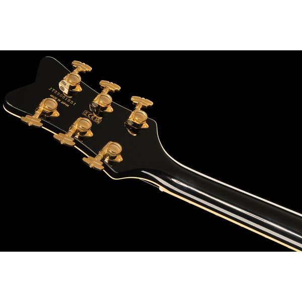 Gretsch G6134TG LTD Paisley Penguin GD