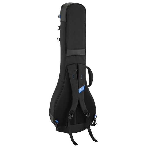 Reunion Blues Expedition Banjo Case