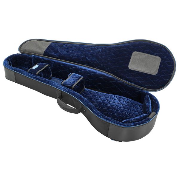 Reunion Blues Expedition Banjo Case