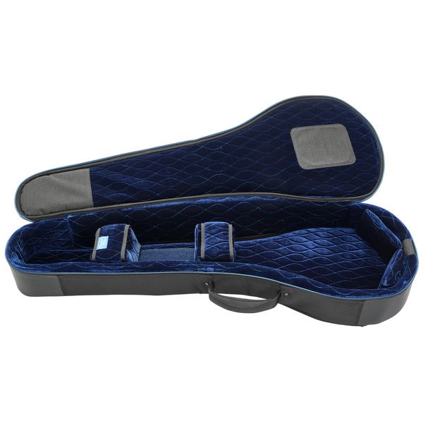 Reunion Blues Expedition Banjo Case