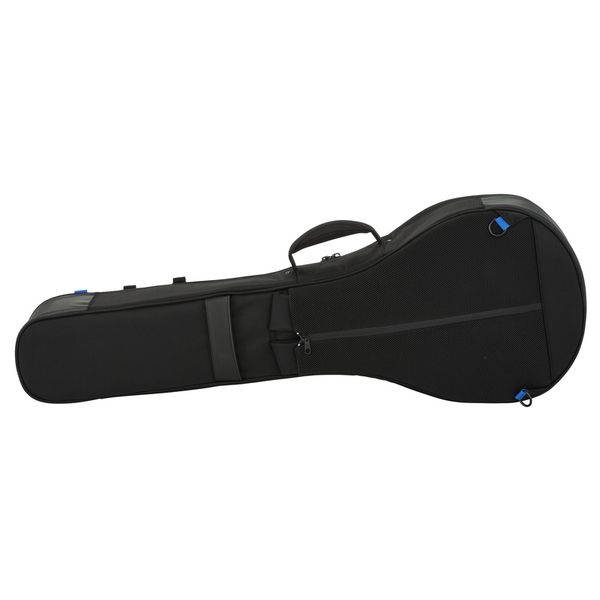 Reunion Blues Expedition Banjo Case
