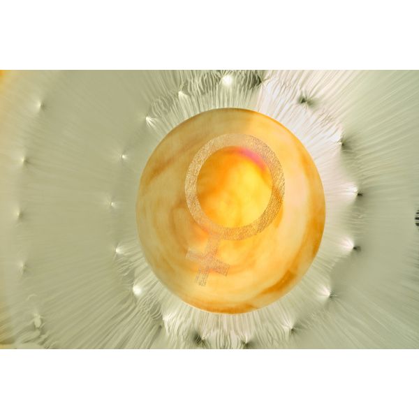 RealGong RealGong 32"/81cm Venus