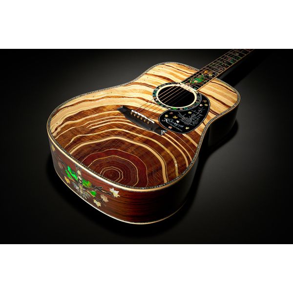 Martin Guitar D-300