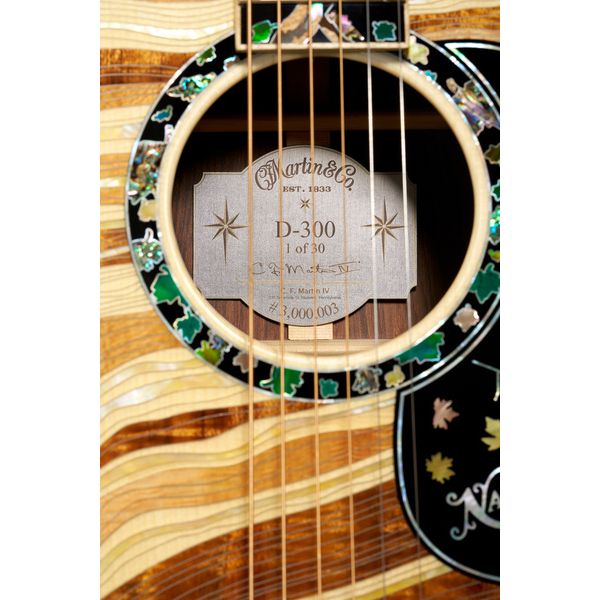 Martin Guitar D-300