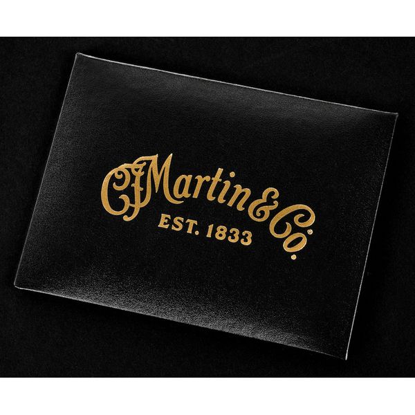 Martin Guitar D-300