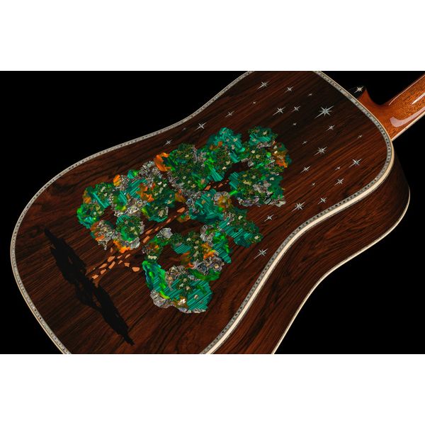 Martin Guitar D-300