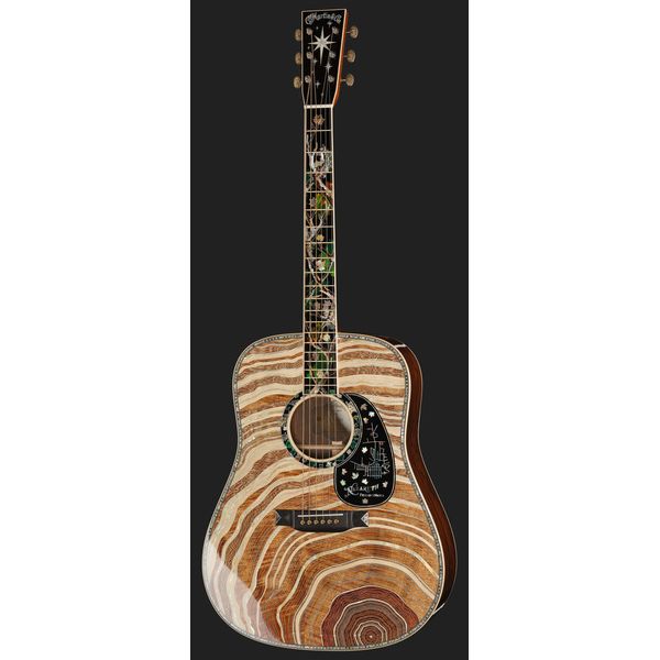 Martin Guitar D-300