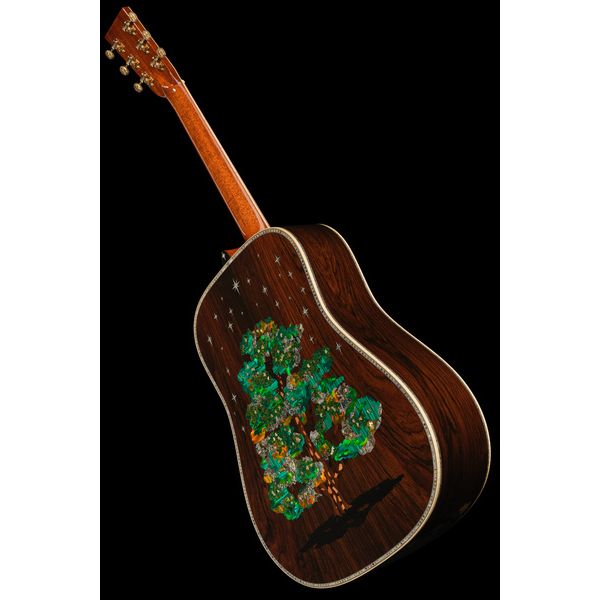Martin Guitar D-300