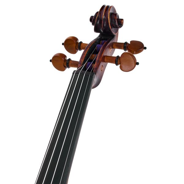 Roth & Junius Europe Orchestra Violin Gu/Bw