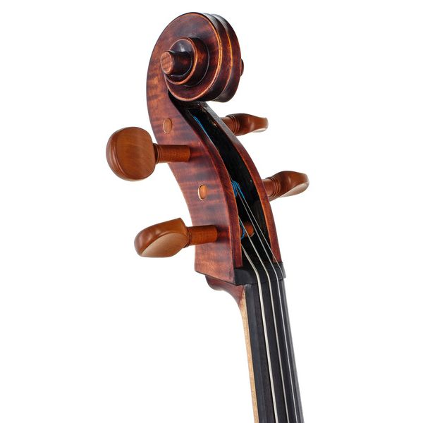 Roth & Junius Orchestra Cello Antiqued Bw