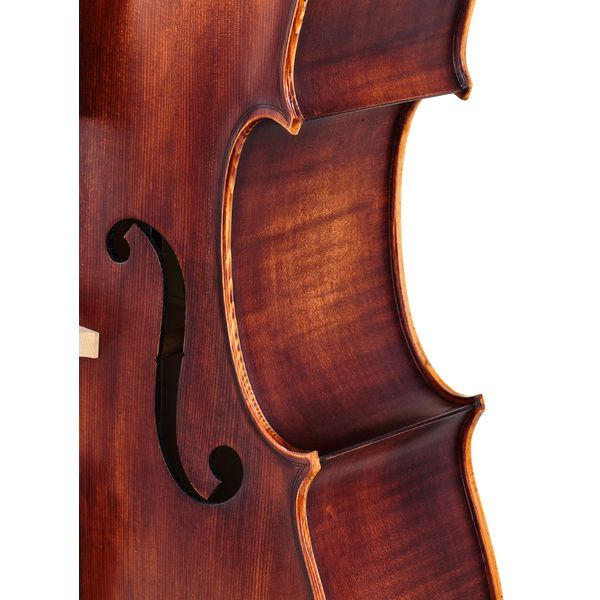 Roth & Junius Orchestra Cello Antiqued Bw