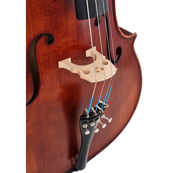 Roth & Junius Orchestra Cello Antiqued Eb