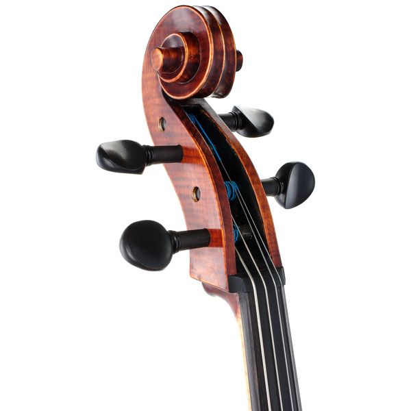 Roth & Junius Orchestra Cello Antiqued Eb