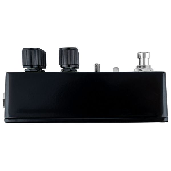 Thorn Basstard - Flex Bass Overdrive