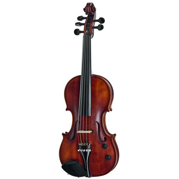 Roth & Junius Acoustic-Electric 5-Str Vn Set