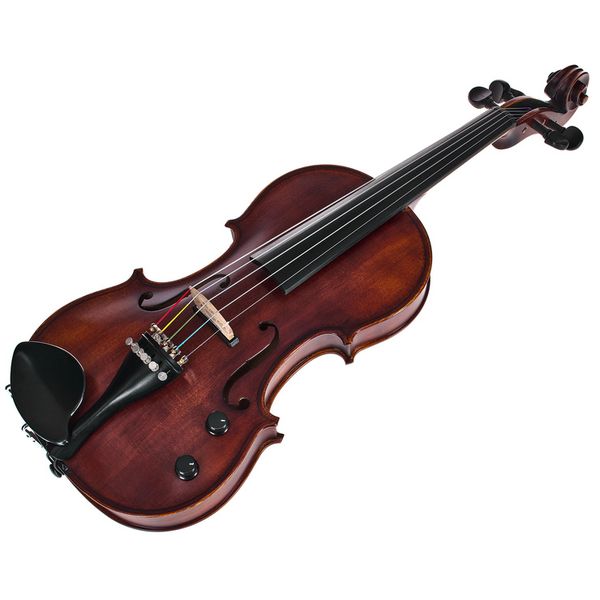 Roth & Junius Acoustic-Electric 5-Str Vn Set