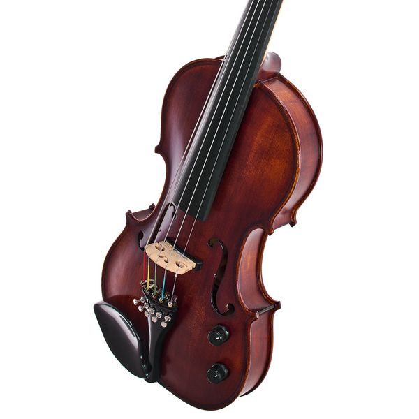 Roth & Junius Acoustic-Electric 5-Str Vn Set