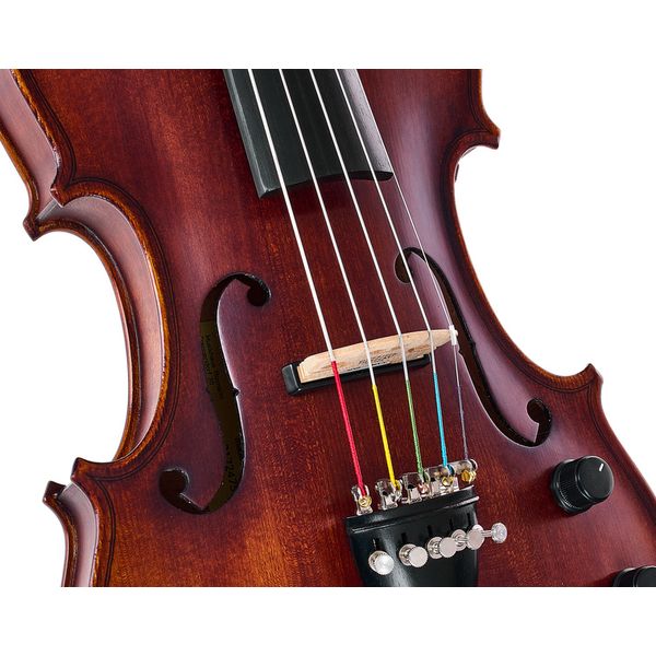 Roth & Junius Acoustic-Electric 5-Str Vn Set