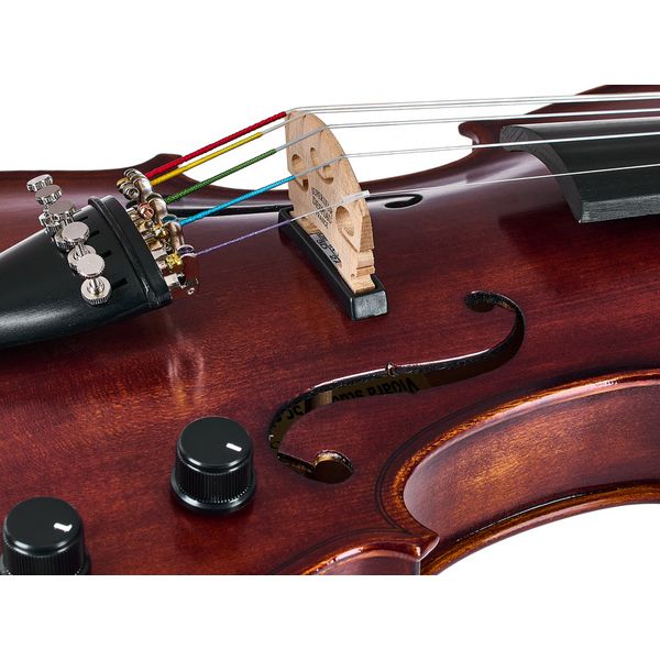 Roth & Junius Acoustic-Electric 5-Str Vn Set