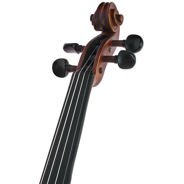 Roth & Junius Estudio Violin Set 4/4