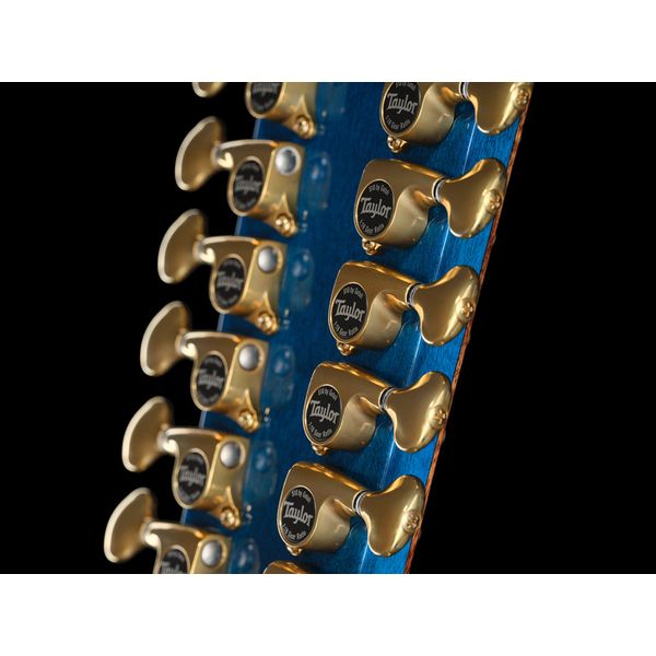 Taylor Custom #1: Windward Coast