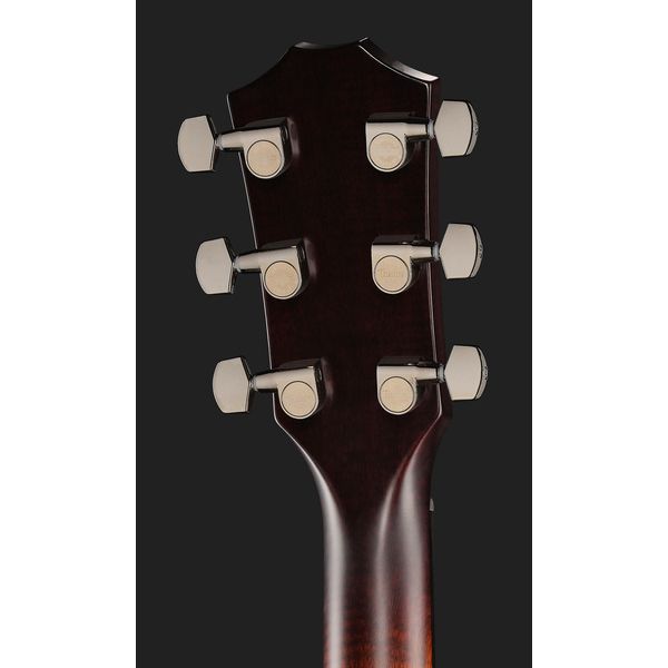 Taylor Custom #2: C17e B5002