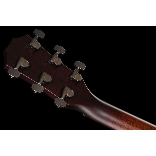 Taylor Custom #2: C17e B5002