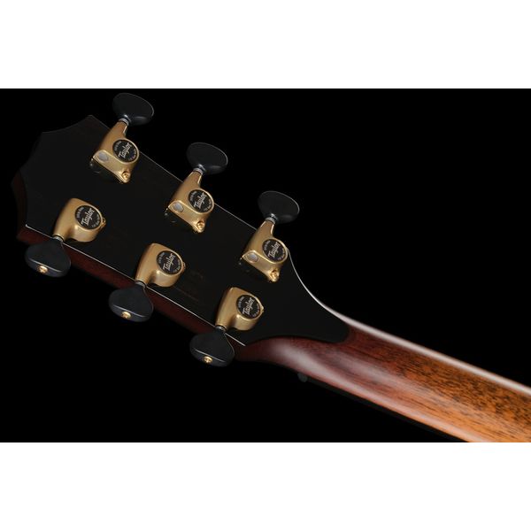 Taylor Custom #3: Canela