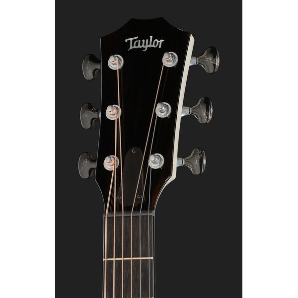 Taylor Custom #5: C17e B5005