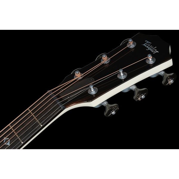 Taylor Custom #5: C17e B5005