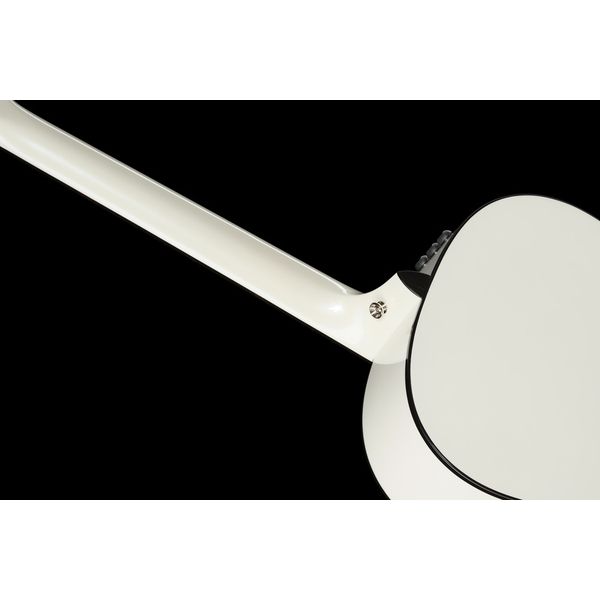 Taylor Custom #5: C17e B5005