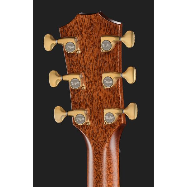 Taylor Custom #7: Horizons