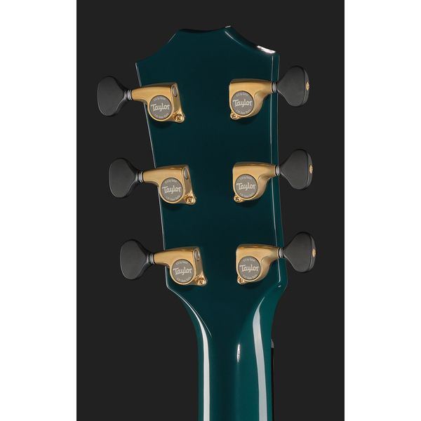 Taylor Custom #33: C18e B5033