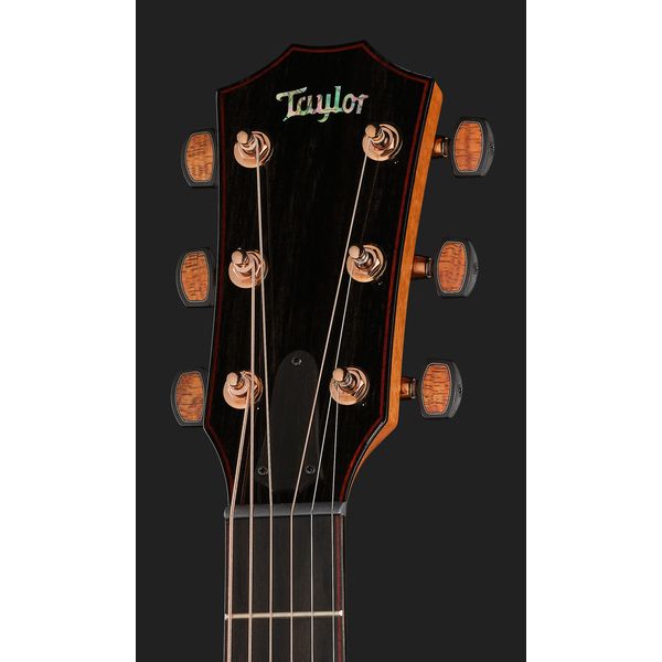 Taylor Custom #40: C22e 12-Fret B5040