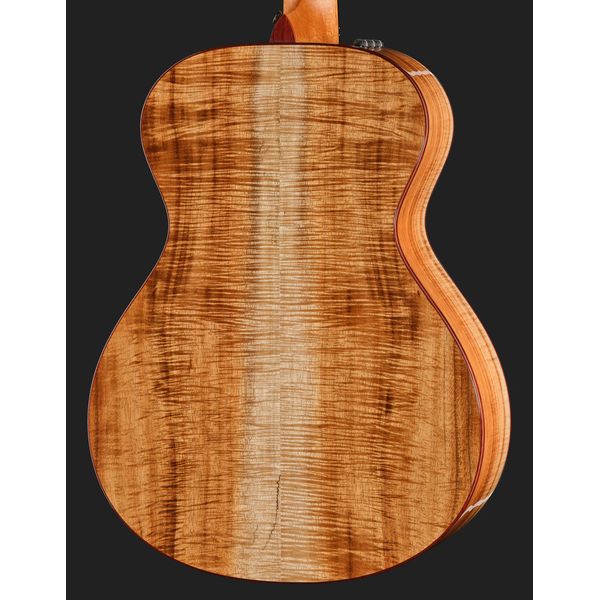 Taylor Custom #40: C22e 12-Fret B5040