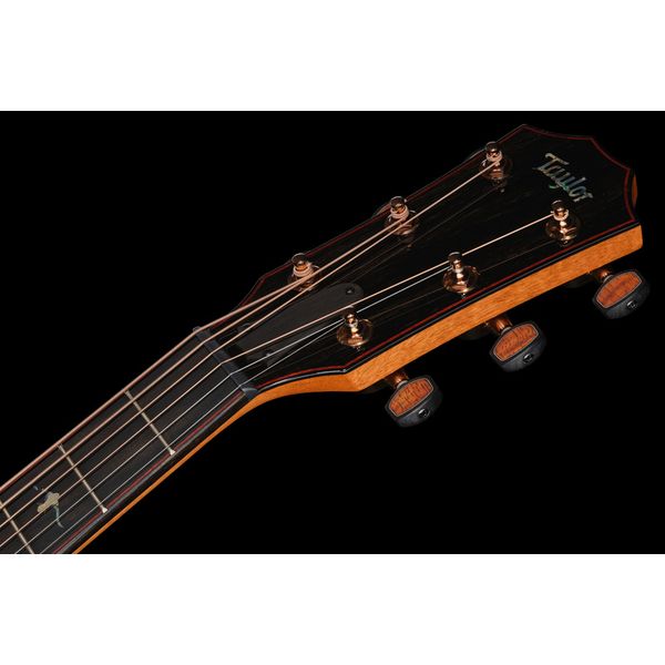 Taylor Custom #40: C22e 12-Fret B5040