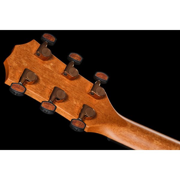 Taylor Custom #40: C22e 12-Fret B5040