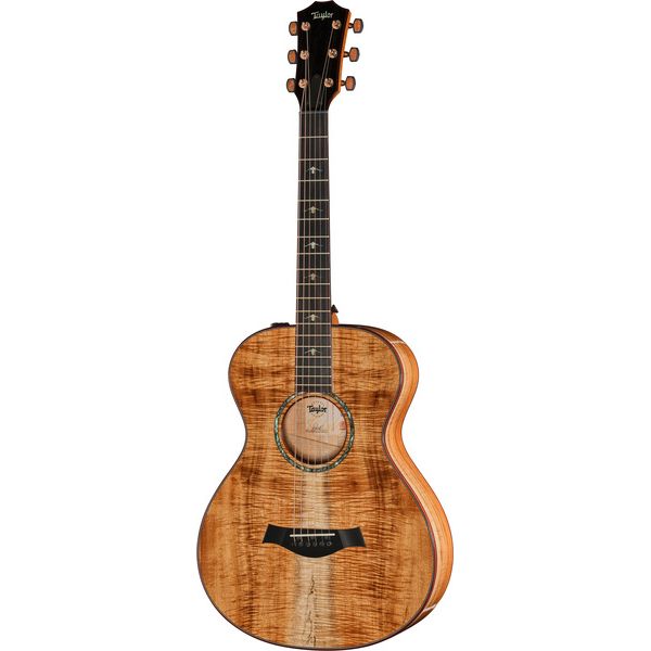Taylor Custom #40: C22e 12-Fret B5040