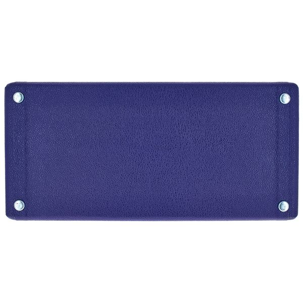 Fender 65 Princeton Reverb Plum GBACK