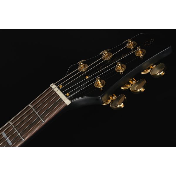Larry Carlton Q7 Black