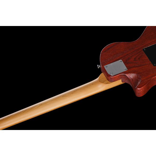 Larry Carlton I5S Tobacco Sunburst