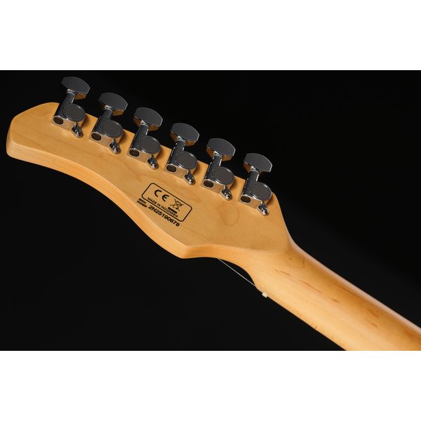 Larry Carlton S5 HSS 3TS