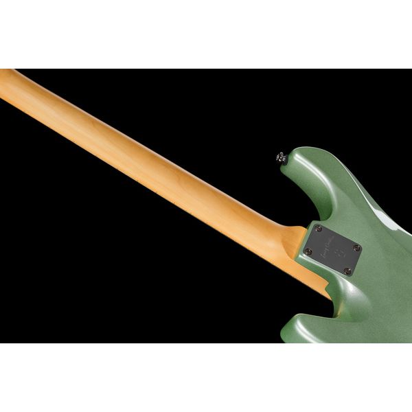 Larry Carlton S5 HSS SGM