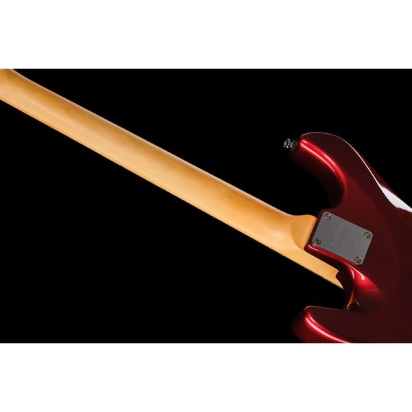 Larry Carlton S5 HSS CAR