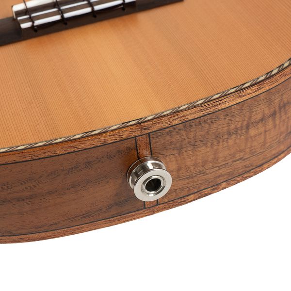 Cascha Cedar Concert Uku Solid Top EQ