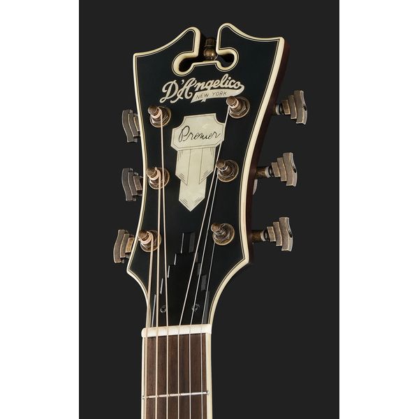 DAngelico Premier Gramercy Aged Burst