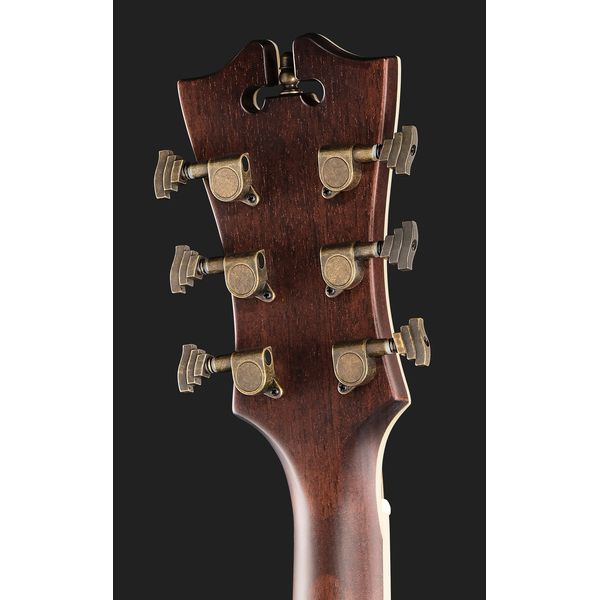 DAngelico Premier Gramercy Aged Burst